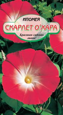 286 136 30 12 286 136 30 12