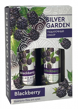 ПН жен. Silver Garden Ежевика (шампунь 250мл, гель для душа 250мл) /751/