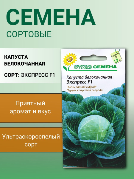 Капуста бк Экспресс F1 0,5г ультраскороспелый Р (Сибирские Сортовые Семена)