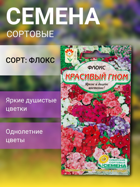 Флокс Красивый гном 0,1г (Сибирские Сортовые Семена)