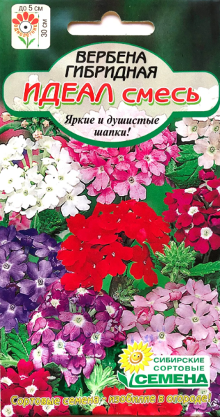 Вербена Идеал смесь гибридная 0,1г (Сибирские Сортовые Семена)