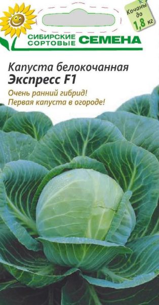 286 082 37 42 286 082 37 42